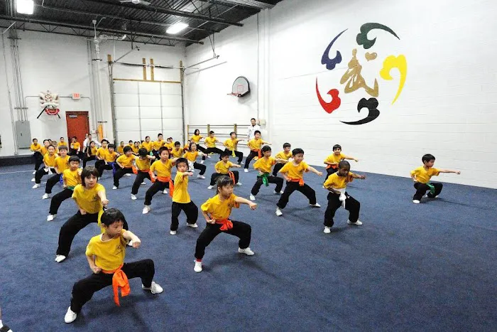 Professional Martial Arts Academy Picture 4