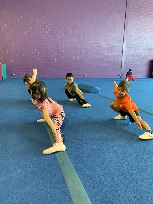 Professional Martial Arts Academy Picture 10