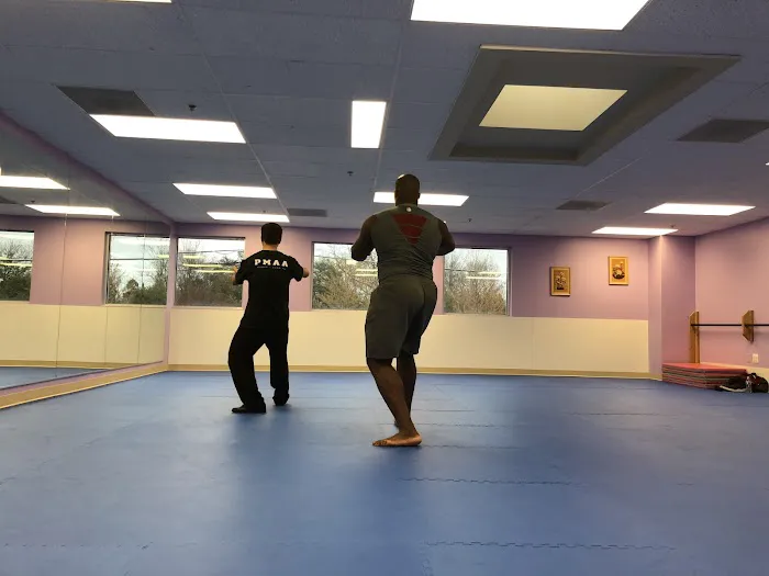 Professional Martial Arts Academy Picture 9