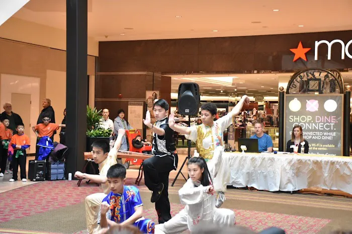 Professional Martial Arts Academy Picture 2