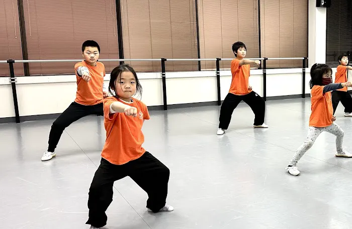 Professional Martial Arts Academy Picture 3