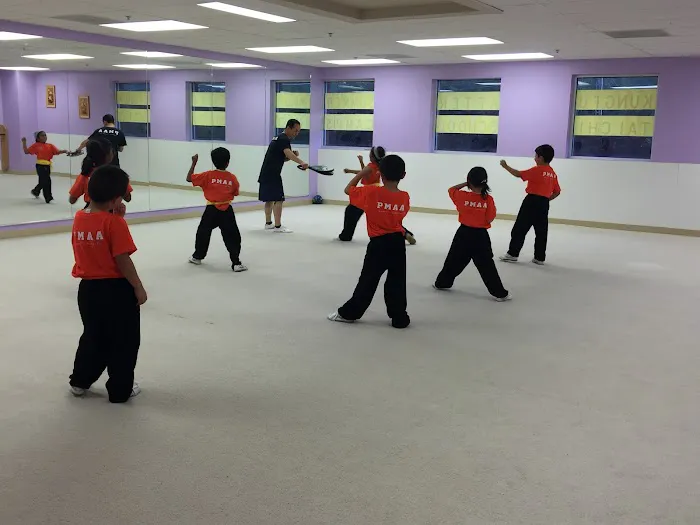 Professional Martial Arts Academy Picture 1