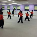 Professional Martial Arts Academy