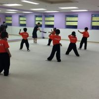 Professional Martial Arts Academy ico