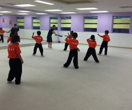 Professional Martial Arts Academy