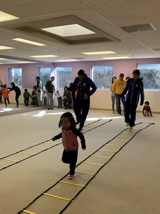 Professional Martial Arts Academy Picture 8