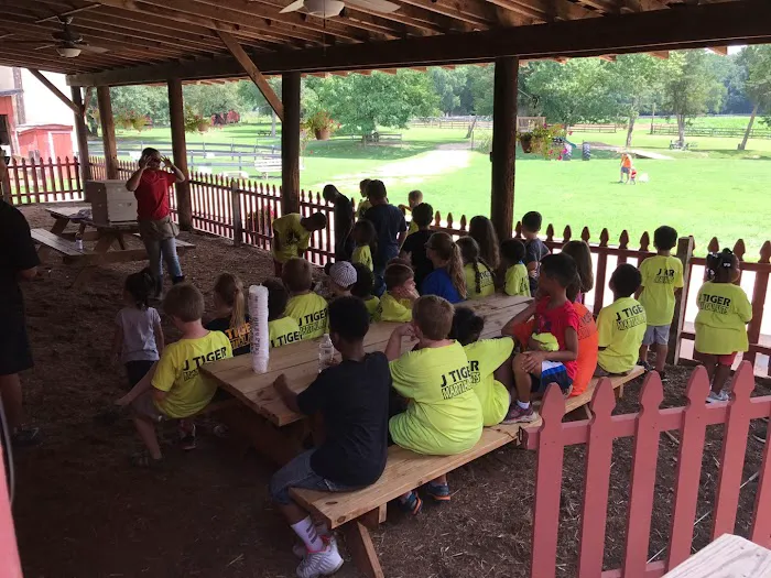 J Tiger Martial Arts LLC Picture 4