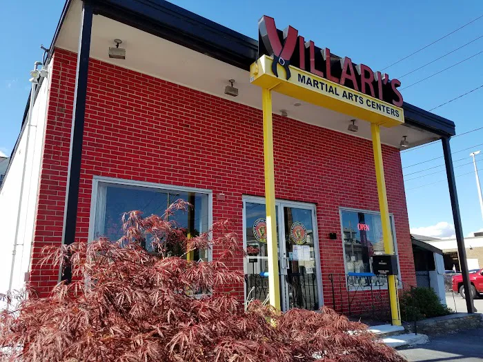 Villari's Martial Arts Centers Picture 6