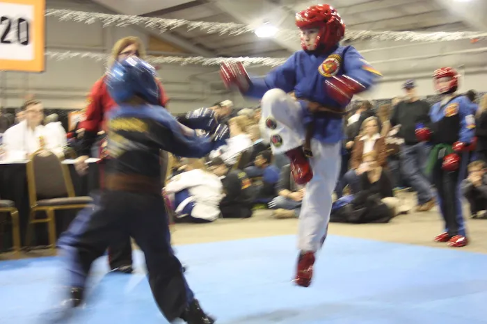 Villari's Martial Arts Centers Picture 8