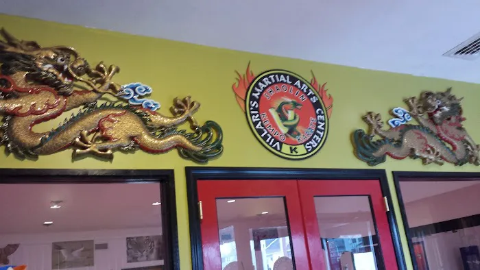 Villari's Martial Arts Centers Picture 2