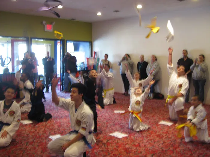 Villari's Martial Arts Centers Picture 10