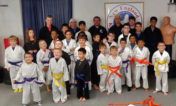 New England Karate Academy Picture 4