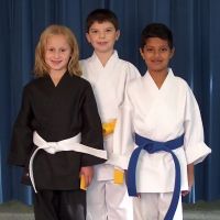 New England Karate Academy ico