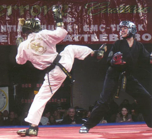 New England Karate Academy Picture 3