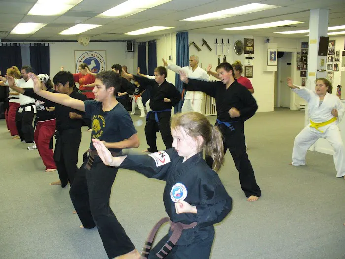 New England Karate Academy Picture 9