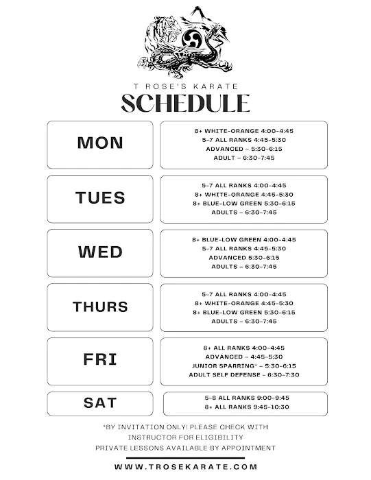 T Rose's Karate School Picture 1