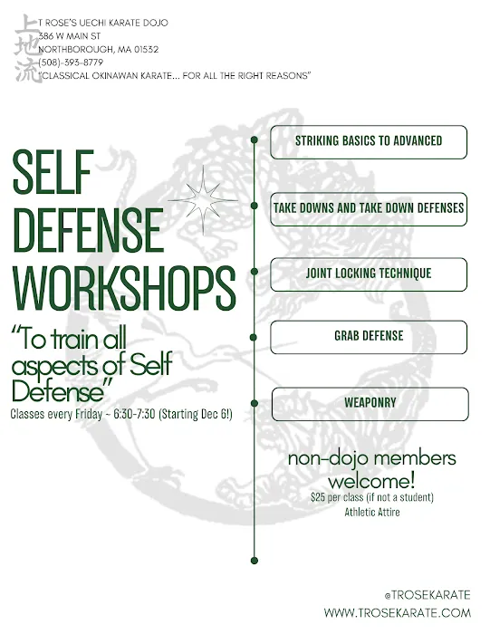 T Rose's Karate School Picture 7