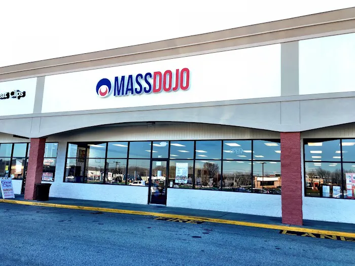 Massdojo Picture 4