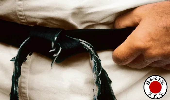 Japan Karate Do Ryobu-Kai New England Picture 5