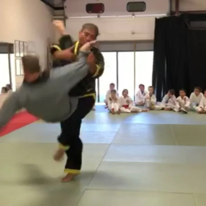 The Martial Instinct Self Defense Picture 8