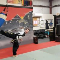 The Martial Instinct Self Defense ico