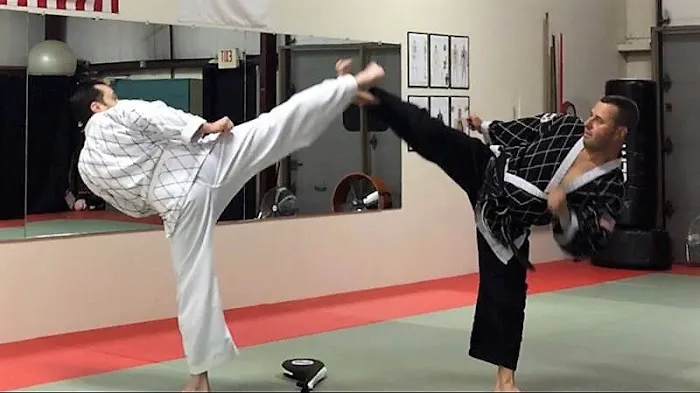 The Martial Instinct Self Defense Picture 10
