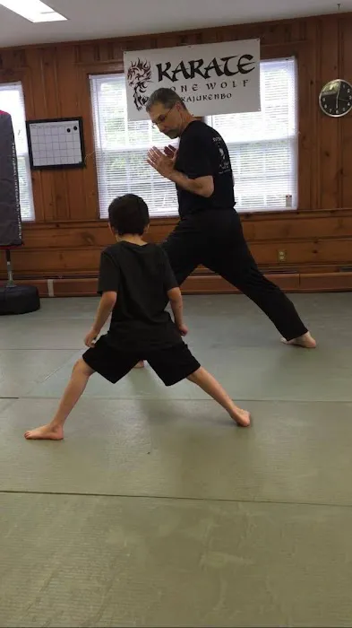 Lone Wolf Kajukenbo and MMA Picture 1