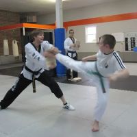 Franklin Martial Arts ico