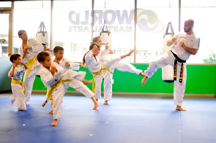 World Martial Arts Picture 1