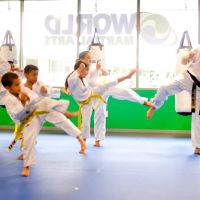 World Martial Arts ico