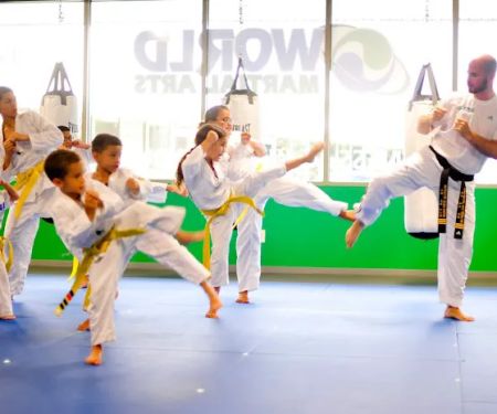 World Martial Arts