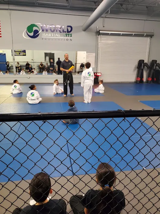 World Martial Arts Picture 9