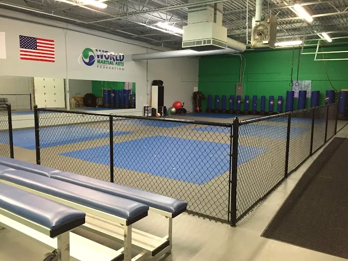 World Martial Arts Picture 3