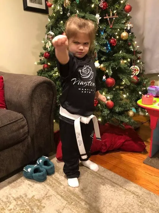 Mastery Martial Arts Johnston Picture 6