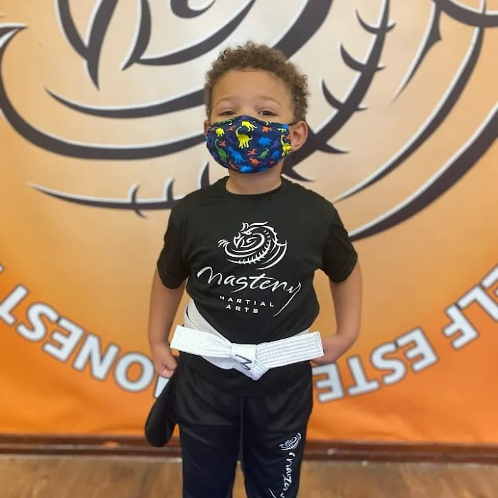 Mastery Martial Arts Johnston Picture 7