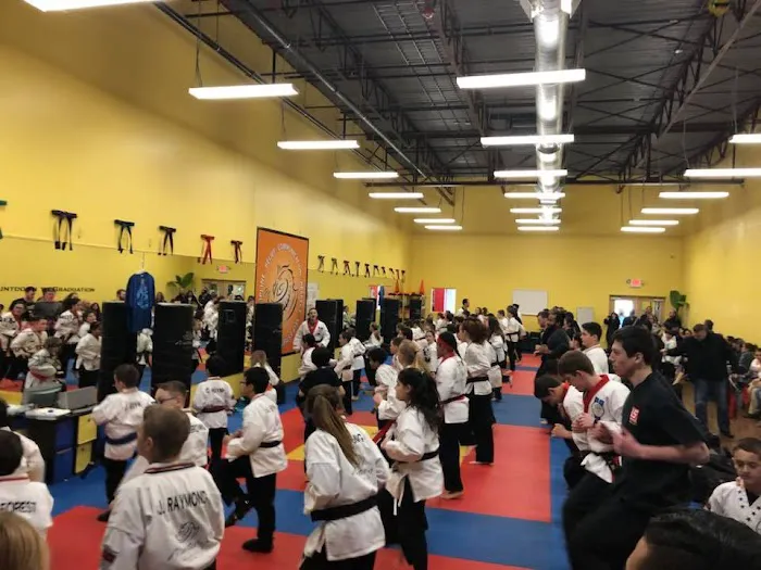 Mastery Martial Arts Johnston Picture 3