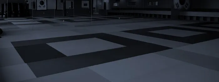 Rocky Silva's American Karate Picture 1