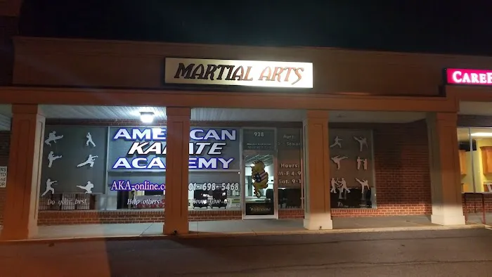 American Karate Academy Picture 1
