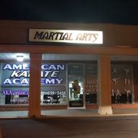 American Karate Academy ico