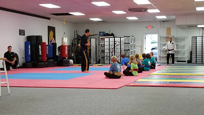 American Karate Academy Picture 2
