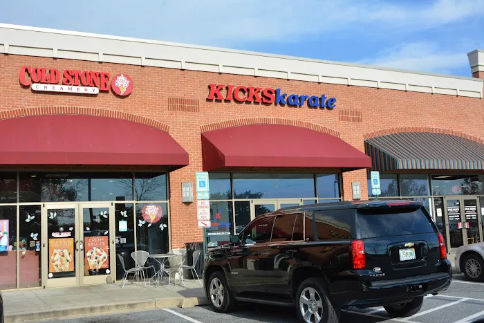 Kicks Karate Picture 5