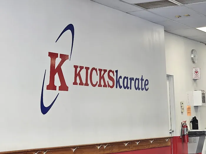 Kicks Karate Picture 4