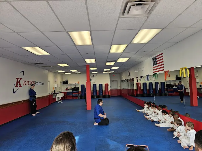 Kicks Karate Picture 9