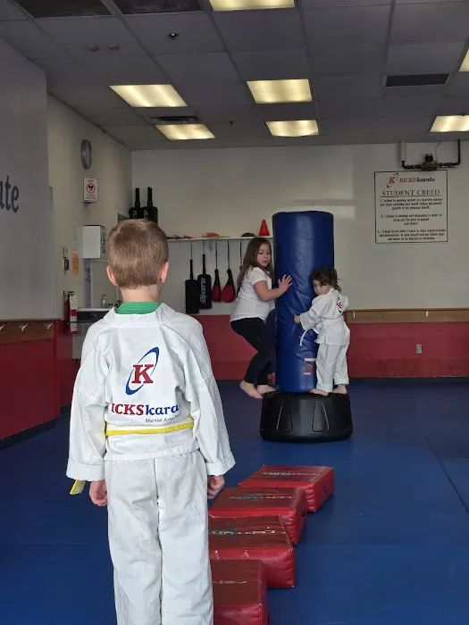 Kicks Karate Picture 10
