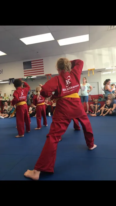 Kicks Karate Picture 2