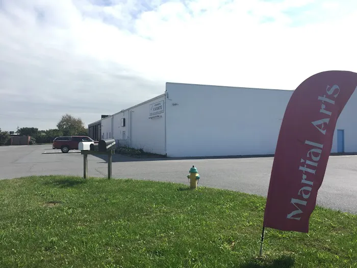 Kreimer's Karate Institute Inc Picture 5