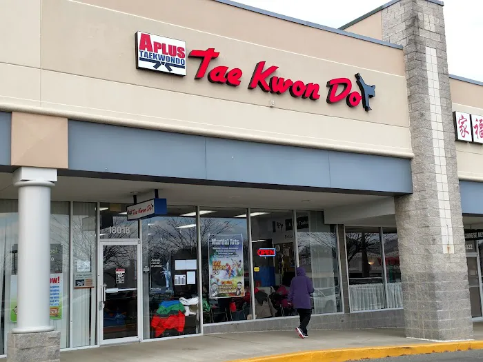 A Plus Taekwondo Picture 4