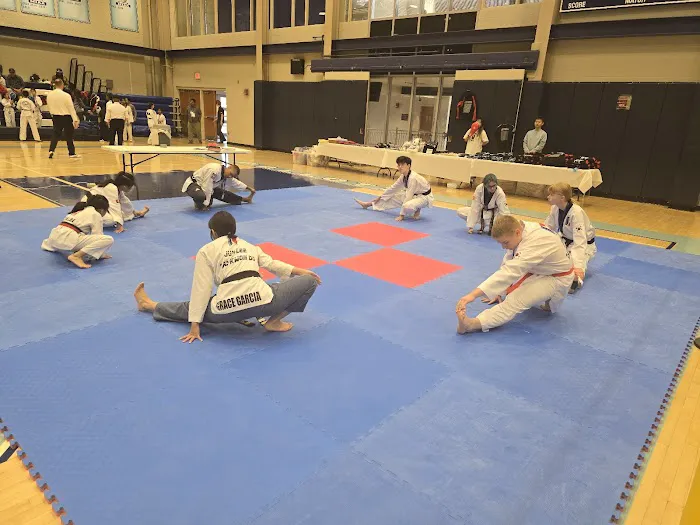 Jun Lee Taekwondo & Afterschool Program & Summer Camp Picture 10