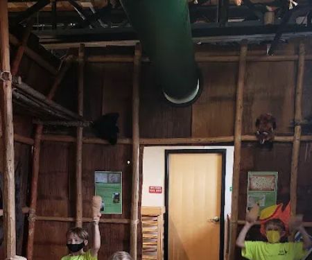 Jun Lee Taekwondo & Afterschool Program & Summer Camp