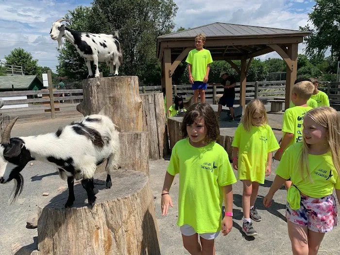 Jun Lee Taekwondo & Afterschool Program & Summer Camp Picture 6